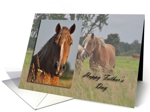 Happy Father's Day, Horse card (815069)