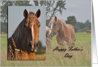 Happy Father’s Day, Horse card