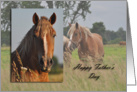 Happy Father’s Day, Horse card