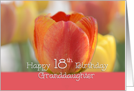 Granddaughter 18th Birthday, Orange and yellow tulips card