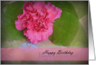 Happy Birthday, Pink Carnation card