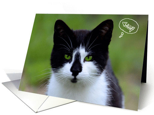 Happy Birthday, Green-Eyed Cat card (825008)