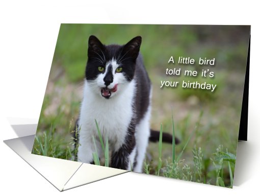 A little bird told me it's your birthday, Green-Eyed Cat card (825012)