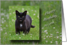 Happy Birthday to you..., Black cat in green grass and clover card