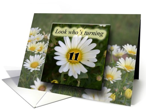 Look who's turning 11, daisies card (830136)