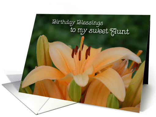 Birthday Blessings to my sweet Aunt, orange lily card (830161)