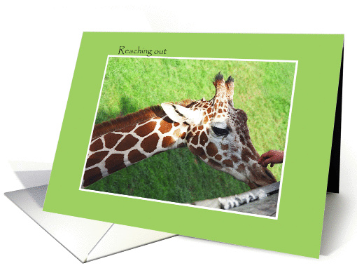 Reaching out, get well card with giraff card (848440)