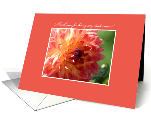 Thank you for being my bridesmaid, pink and yellow dahlia... (855858)