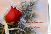 Merry Christmas Sweetheart, red rose on snowy branches card