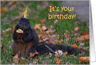 Squirrel Birthday, with cupcake and hat card