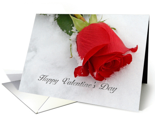 Red Rose Valentine, red rose in snow card (899009)