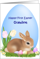Grandson 1st Easter, eggs, flowers, bunny card