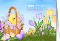 Happy Easter Granddaughter, basket tulips, chick card