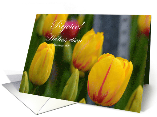 Happy Easter, Rejoice!, yellow tulips card (907752)