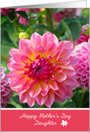 Daughter Mother’s Day, Pink dahlias close up card