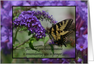 Butterfly Getwell, Monarch butterfly on purple bush card