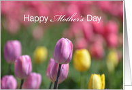 Mother’s Day Mom Tulips, purple, pink, yellow card