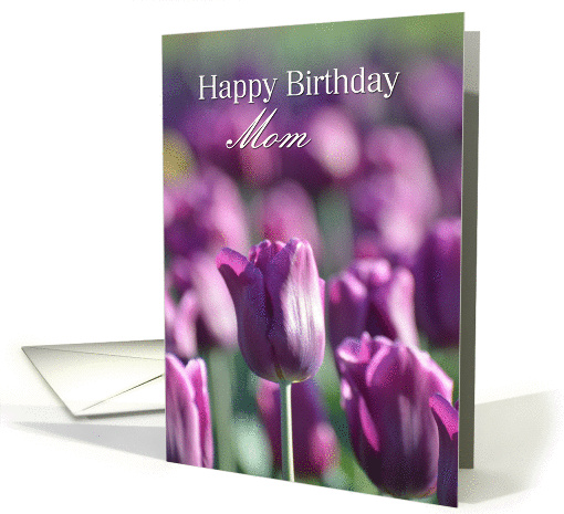 Happy Birthday Mom Tulips, Purple tulips card (920540)