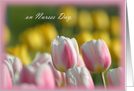 Nurses Day Tulips,...