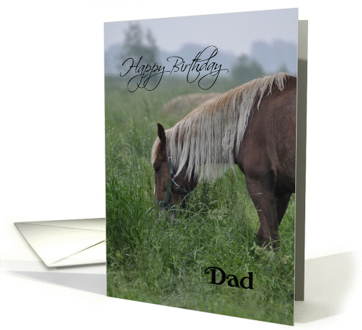 Horse Happy Birthday Dad, horse in pasture grazing card (925020)