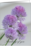 Thinking of You, purple chive flowers card
