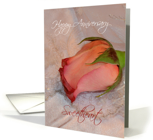 Happy Anniversary Husband, pink rose card (925999)