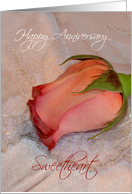 Happy Anniversary Husband, pink rose card