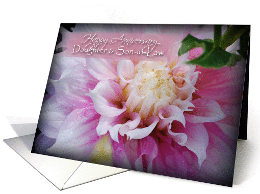 Happy Anniversary Daughter & Son-In-Law, pink dahlia card (926561)