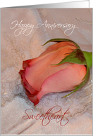 Happy Anniversary Wife, pink rose card
