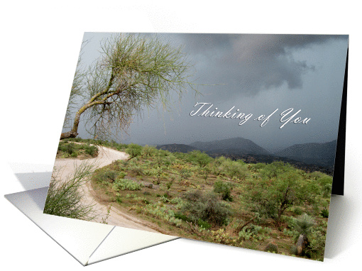 Desert Thinking of You, desert scene with clouds card (956729)