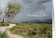 Desert Thinking of You, desert scene with clouds card