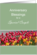 Anniversary Blessings to a Special Couple Tulips card