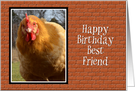 Happy Birthday Best Friend, Chicken card
