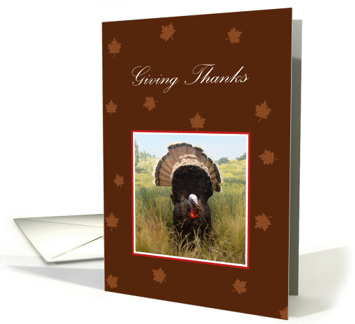 Giving Thanks, turkey and leaves card (969627)