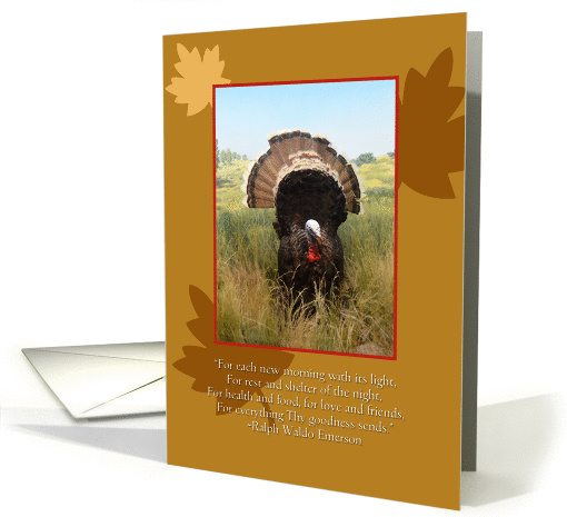 Thanksgiving Turkey, verse, leaves card (969629)