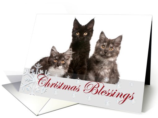Merry Christmas Snowflakes Photo Card, snowflakes card (975581)