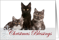Merry Christmas Snowflakes Photo Card, snowflakes card