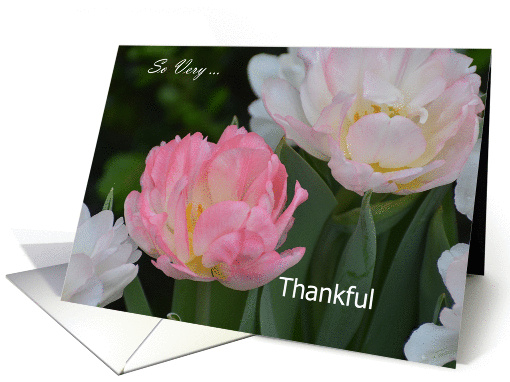 So Very Thankful, tulips card (976815)