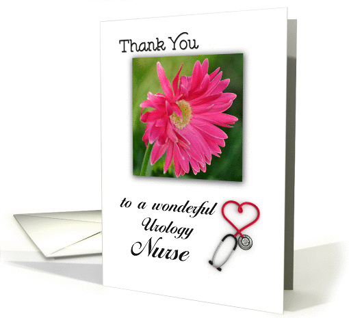 Thank You Urology Nurse, Gebera Daisy, stethoscope card (977707)