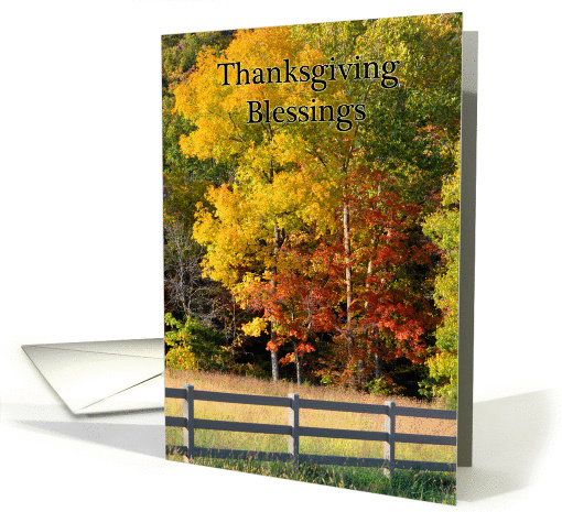 Thanksgiving Blessings, Fall Trees, Fence card (978483)
