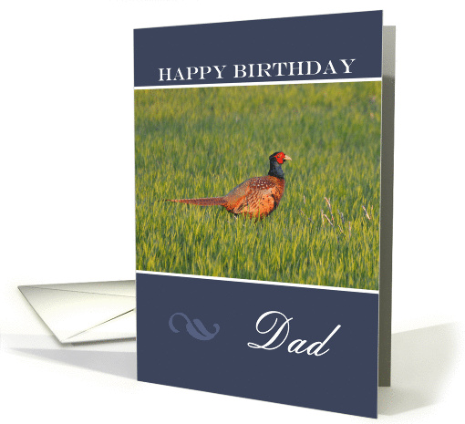 Happy Birthday Dad, Pheasant in the grass card (980647)