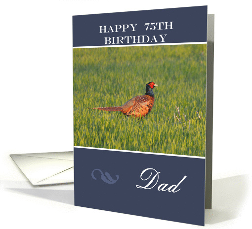 Happy 75th Birthday Dad, Pheasant in the grass card (980651)