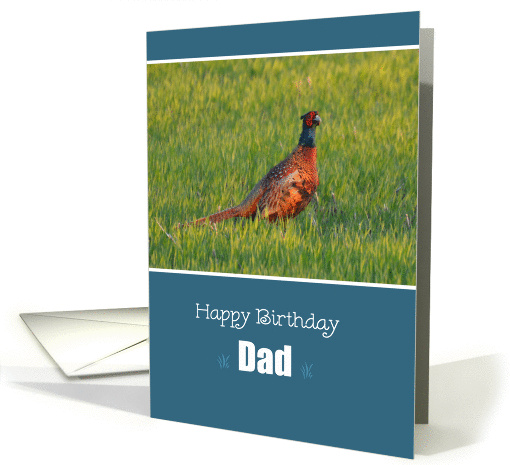 Happy Birthday Dad, Pheasant in the grass card (980653)