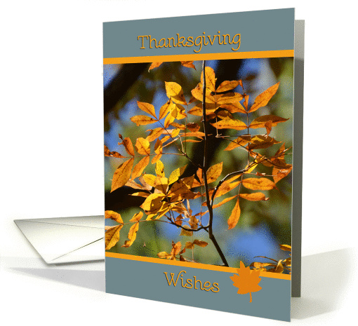 Thanksgiving Wishes, yellow fall leaves card (980657)