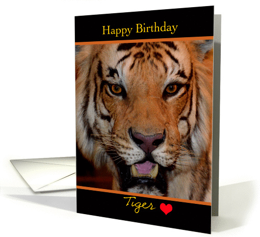 Happy Birthday Tiger, Sweetheart, tiger close up card (981421)