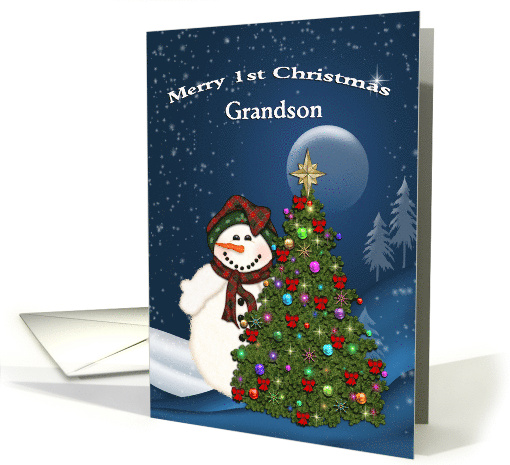 Grandson Merry 1st Christmas Snowman on Starry Night card (987283)