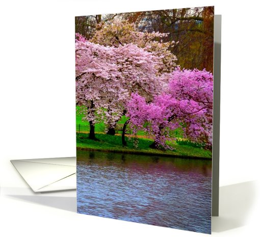 Cherry Trees card (757726)
