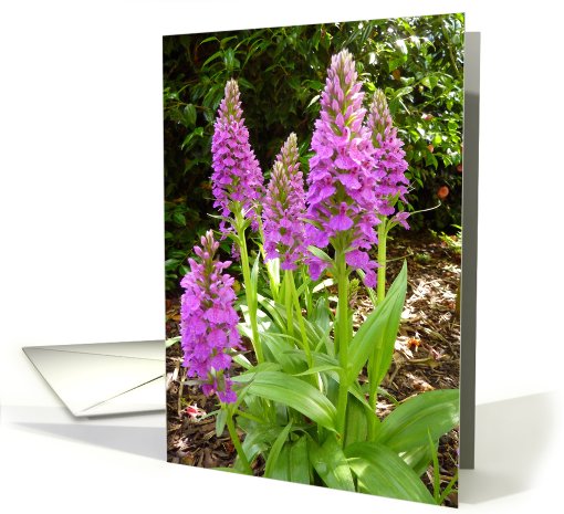 Beautiful Flowers card (757730)