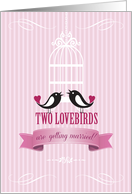 Lovebirds Pink...