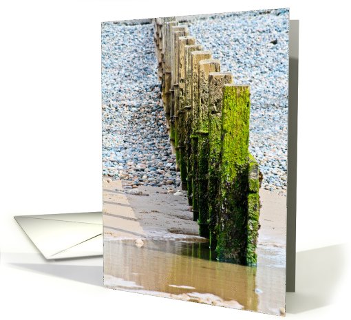 Birthday - Beach scene card (698815)